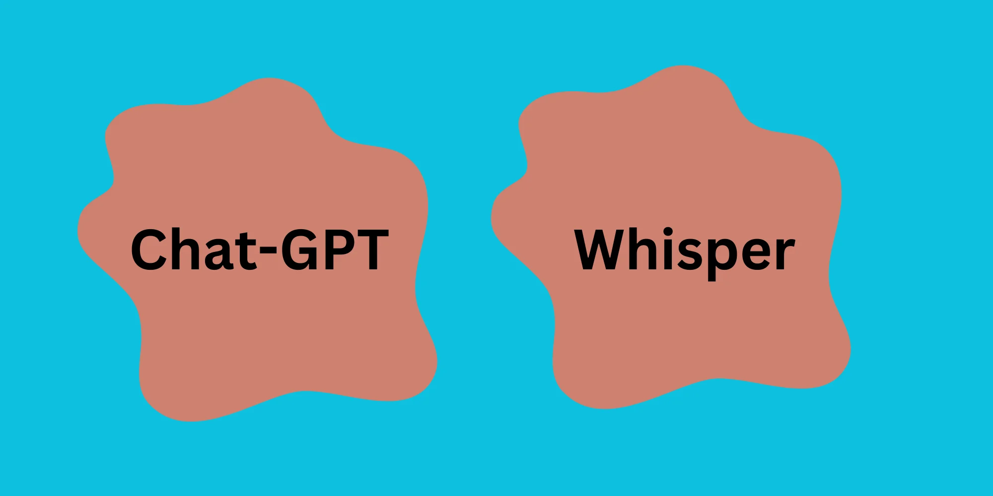 OpenAI's ChatGPT and Whisper API Developers